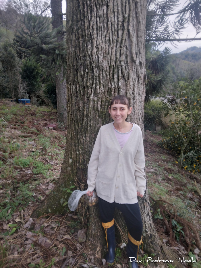 Cordia trichotoma