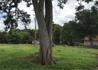 Clique para exibir a imagem e detalhes